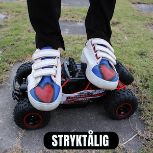 RCX PLUS – Radiostyrd Buggy 35 km/h -2B