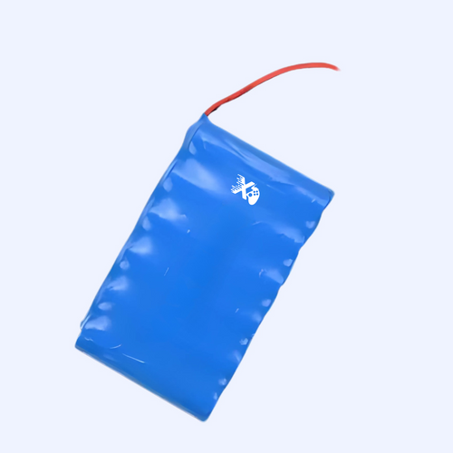 Batterie RCX PLUS